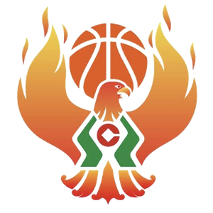 https://img.ruiji-greatec.com/img/basketball/team/09b49d34027e0409a4de3295f8c71a2d.png