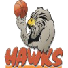 https://img.ruiji-greatec.com/img/basketball/team/4ad56c57b7214942a503892b9f111d6e.png