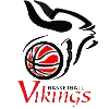 https://img.ruiji-greatec.com/img/basketball/team/68b3b1e0496d46b3988571d5c75d1ed8.png