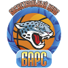 https://img.ruiji-greatec.com/img/basketball/team/9008e0eb5cdc9f3e587e5838c6201832.png