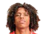 https://img.ruiji-greatec.com/img/football/player/135ad8787fd13961a93e165e79e736ff.png