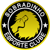 https://img.ruiji-greatec.com/img/football/team/093317869371d938385201f2f5660aa6.png