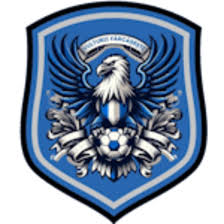 https://img.ruiji-greatec.com/img/football/team/09bb5b9732bc080d522c37e74ce70004.png