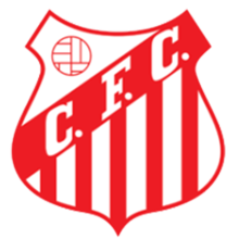 https://img.ruiji-greatec.com/img/football/team/8728cd2983f210af6bbca23b86020738.png