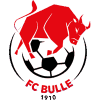 https://img.ruiji-greatec.com/img/football/team/b201265fa89720bf8cd8ef95549a4738.png